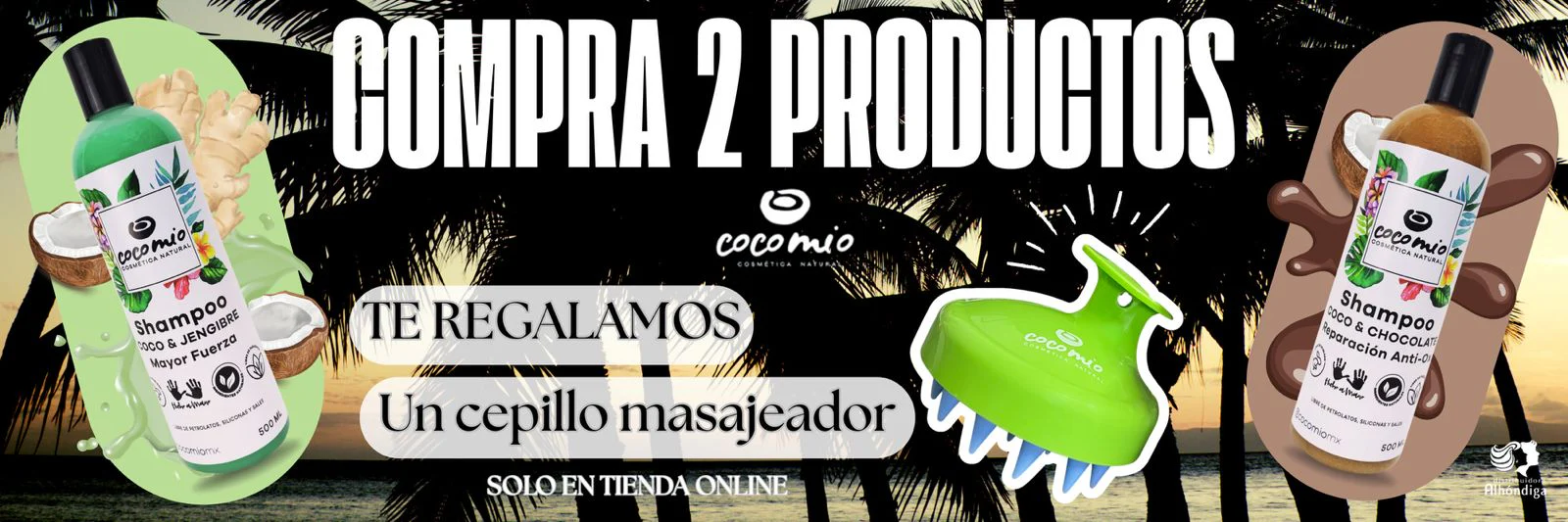 Eleva tu Talento con Distribuidoraalhondiga